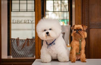 London Dog Grooming Company - Dog Grooming Services