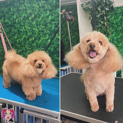 Brockwell Pups - Dog Grooming Services