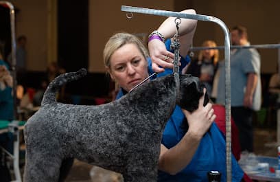 Le Chien London - Dog Grooming Services