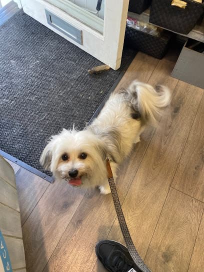 Notting Hill Pet Pavilion - Dog Grooming Services