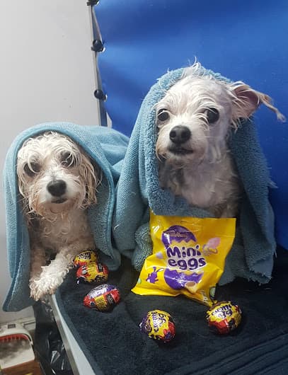Beautifur Pet Grooming - Dog Grooming Services