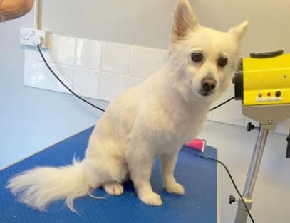 Poochie Parlour - Dog Grooming Services