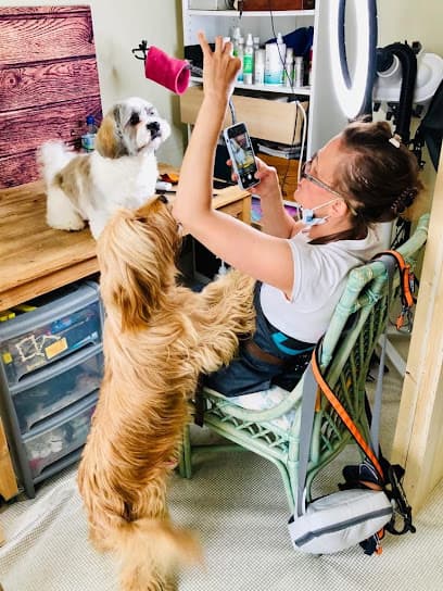 Bespoke Barks - Dog Grooming Services