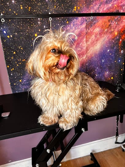 Sashasdoggoworld - Dog Grooming Services