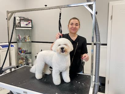 Pawpadour Dog Grooming Salon - Dog Grooming Services