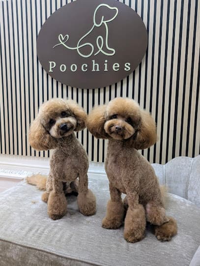 Poochies - Dog Grooming Services