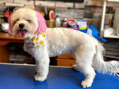 Bella PetSpa - Dog Grooming Services