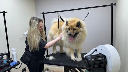 Fluff and Scruff Studio - Dog Grooming Services