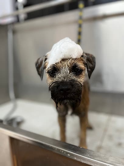 Hushound - Dog Grooming Services