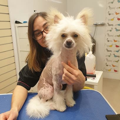 Dog World Grooming Salon - Dog Grooming Services