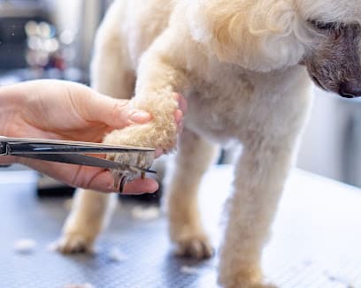 Muddy Paws Tolworth - Dog Grooming Services