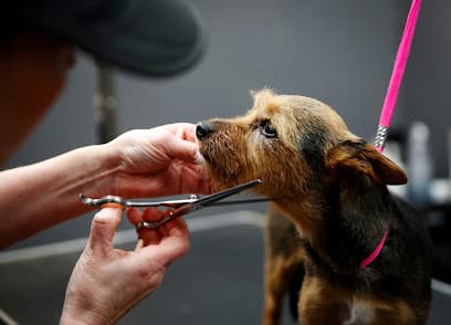 The Wag Club Doggy Day Care London - Dog Grooming Services