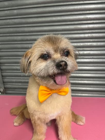 My Pets Boutique - Dog Grooming Services