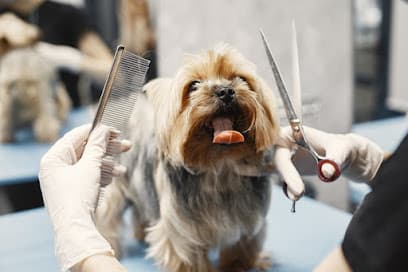Hearts & Hounds - Dog Grooming Services