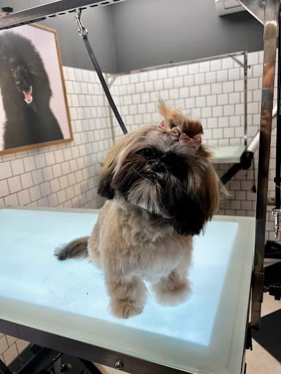 Dogwood Grooming - Dog Grooming Services