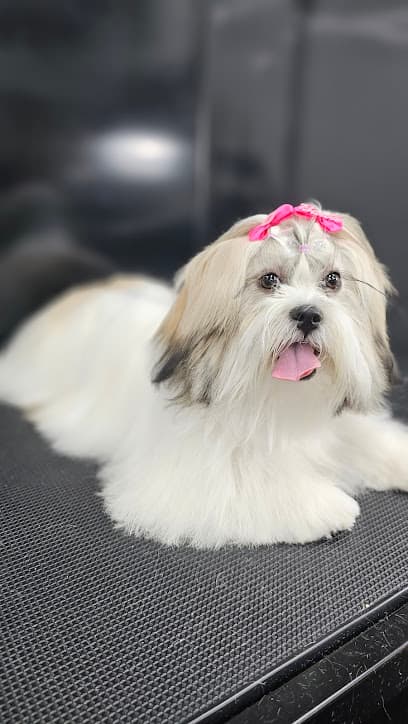 Flea Jump - Dog Grooming Services