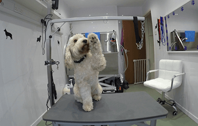 Arthur's Dog Grooming - Dog Grooming Services