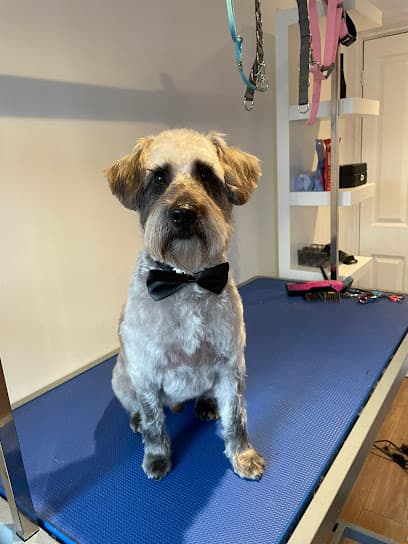 Bark and Bubbles Dog Grooming - Dog Grooming Services