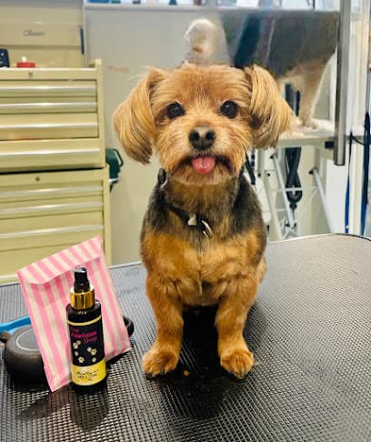 Pooch Parlour Dog Grooming - Dog Grooming Services