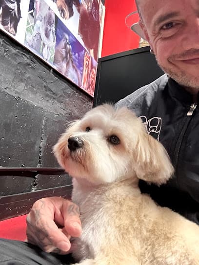 Latin Groomer - Dog Grooming Services